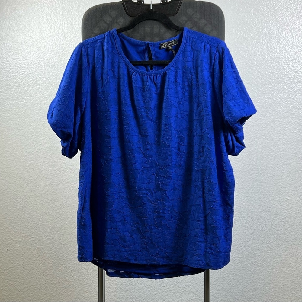 DG2 by Diane Gilman Blue Women's Top Size 1X
